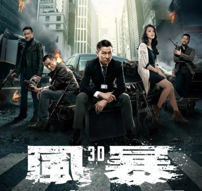【电影】风暴 (2013)动作/犯罪 1080P国粤多音轨/中文字幕[刘德华/姚晨/林家栋/胡军]