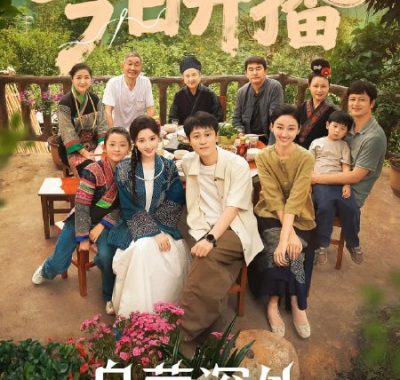 乌蒙深处 2025剧情 4K高码