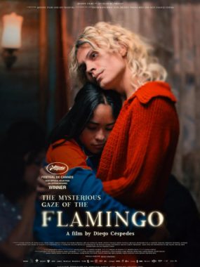 [夸克网盘]法国电影《弗拉明戈的神秘眼神》（2025）剧情 / 同性 豆瓣7.5