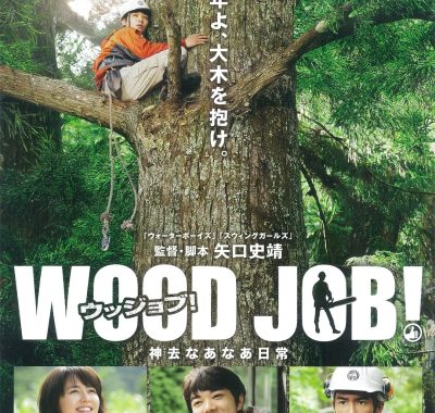 【高分电影】哪啊哪啊神去村 (2014) 1080p BDRip 国日音轨 简繁字幕