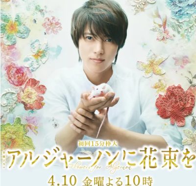 [夸克网盘][日剧]《献给阿尔吉侬的花束》（2015）爱情 / 科幻 豆瓣8.0