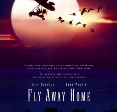 [夸克网盘]美国电影《伴你高飞》（1996）剧情 / 家庭 / 冒险 豆瓣8.8