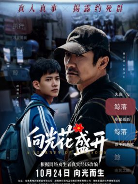 [夸克网盘]国内电影《向光花盛开》（2025）剧情
