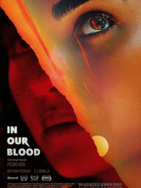 [夸克网盘]美国电影《找寻家世》（2024）悬疑 / 惊悚 / 恐怖